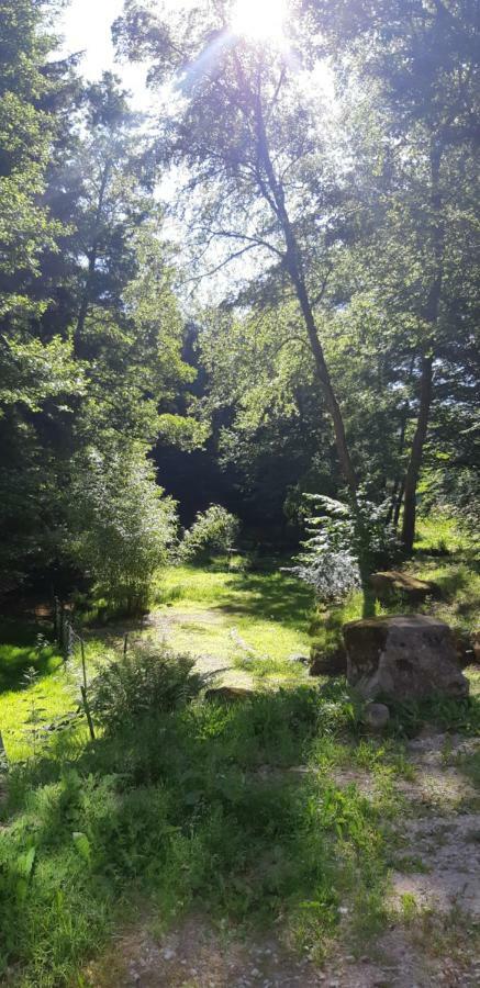 Gite De La Baerenbach Haselbourg Eksteriør bilde